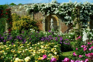 hever-castle-rose-garden