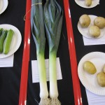 SummerShow