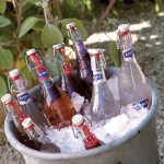 garden-party