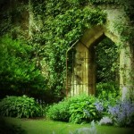 Secret_Garden_by_Smushfaace