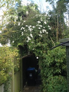 photo-3-1-e1401123415149 