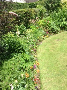 Herbaceous Border 2 