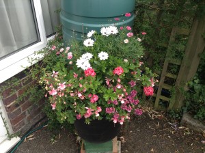 vase-1 