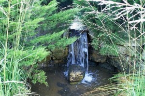 Water features are in abundance