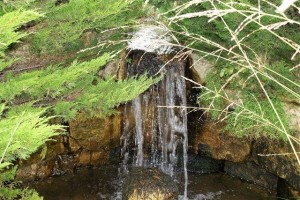 Water features abound