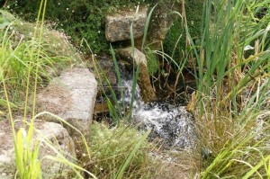 If you like water, this is the place to come