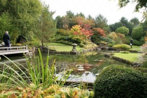Stunning use of water in the garden