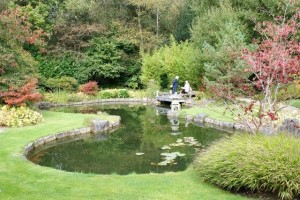 Beautiful ponds
