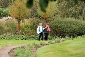 Sylvia and Jean continue their rounds