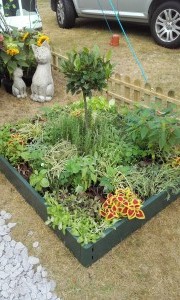 Herb Bed