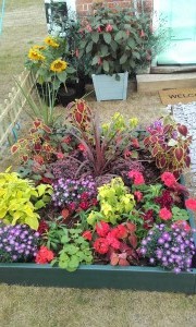 Ornamental Bed