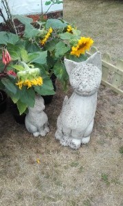Cats
