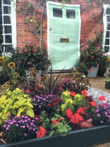 Ornamentals 