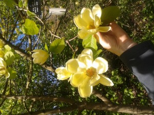 20150504_130415