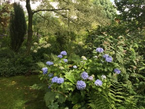 IMG_1069