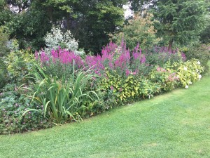 IMG_1092