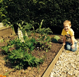 Max looking after his garden