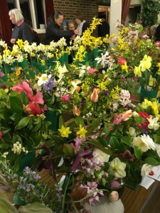 Tulips, daffs, et al