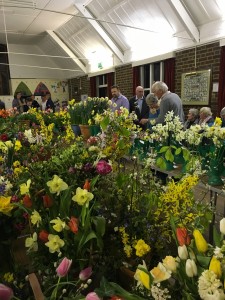 Spring Flowers