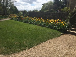IMG_0684