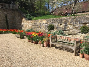 IMG_0697