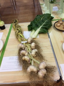 This garlic won a prize!