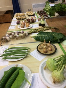 Shallots, Beans & Cucumbers