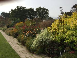 IMG_0020