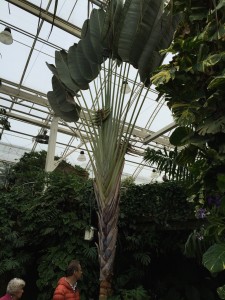 IMG_0025