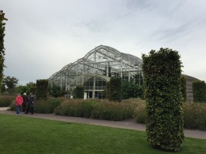 IMG_0026